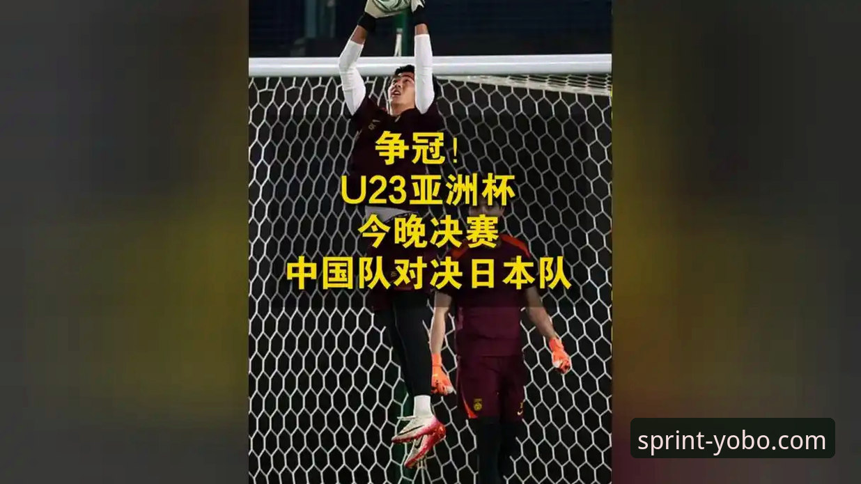 2026尤伯杯半决赛：中国队横扫日本队晋级决赛，yobo体育平台全面评测体验