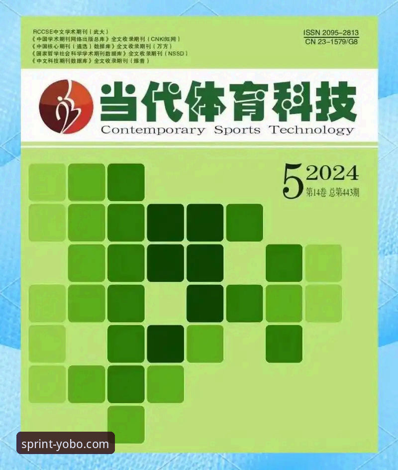 正版体育平台入口手机版全面解析：从下载到实战的完整路径